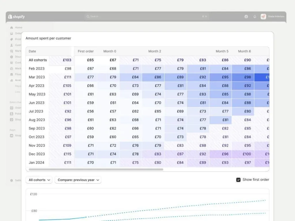 Screenshot of Shopify cohort analysis